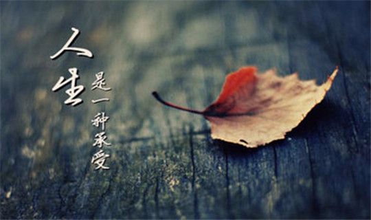 11.1比特币以太坊投资中交易者需增强大局观并找对方向